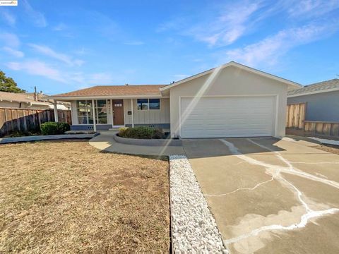 Photo of 4840 Piper St St, Fremont, CA 94538 (MLS # 41115417)