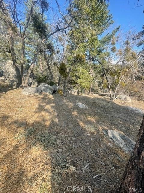 Photo of 0 Forrest Dr, Running Springs, CA 92382 (MLS # HD26052605)