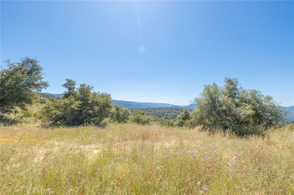 99 Acres Old Yosemite Road