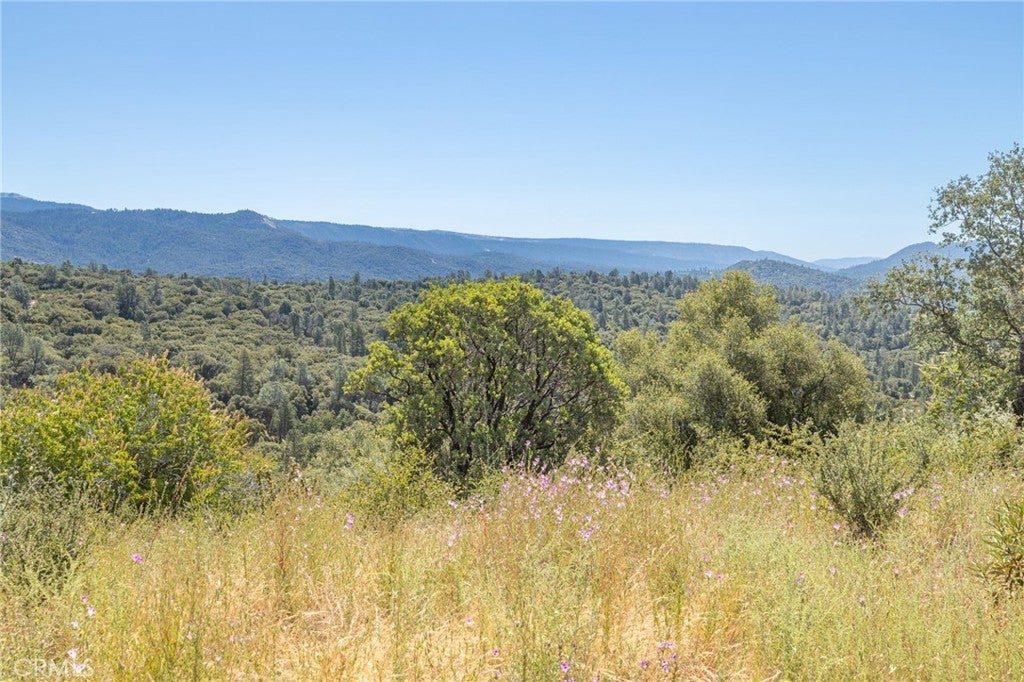 99 Acres Old Yosemite Road