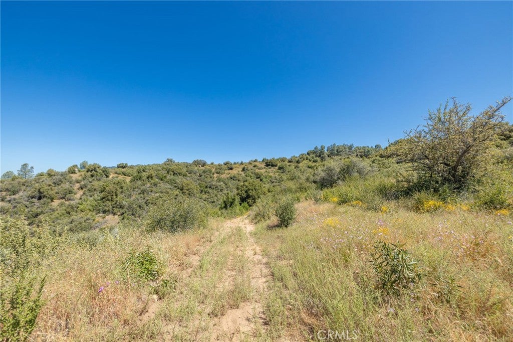 99 Acres Old Yosemite Road