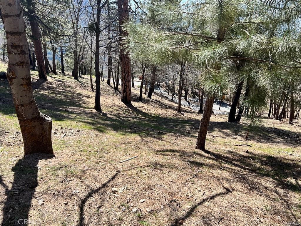 Smiley Park (SMPK) - Land