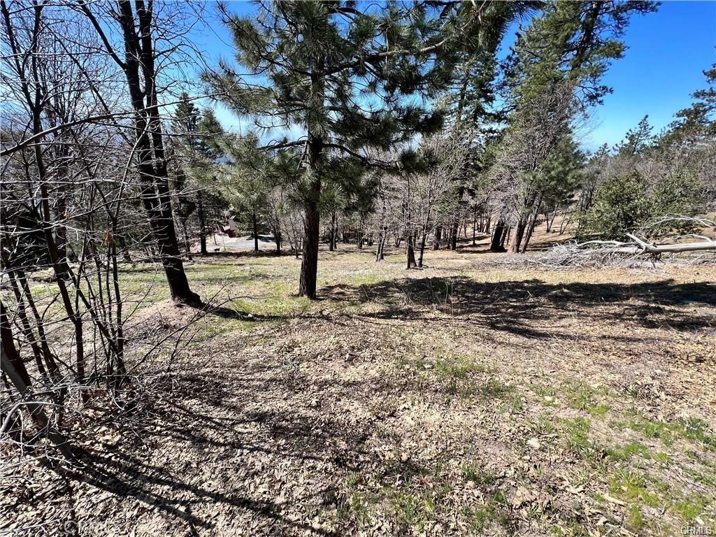 Smiley Park (SMPK) - Land