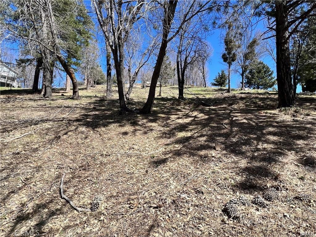 Smiley Park (SMPK) - Land