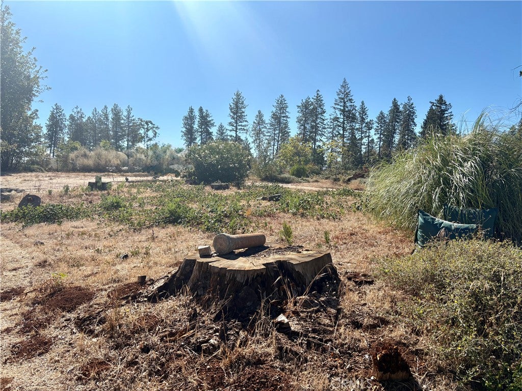 5970 Sawmill Road