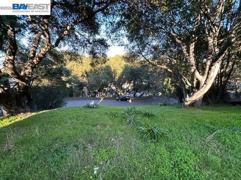 Morse Ave Hayward CA 94542
