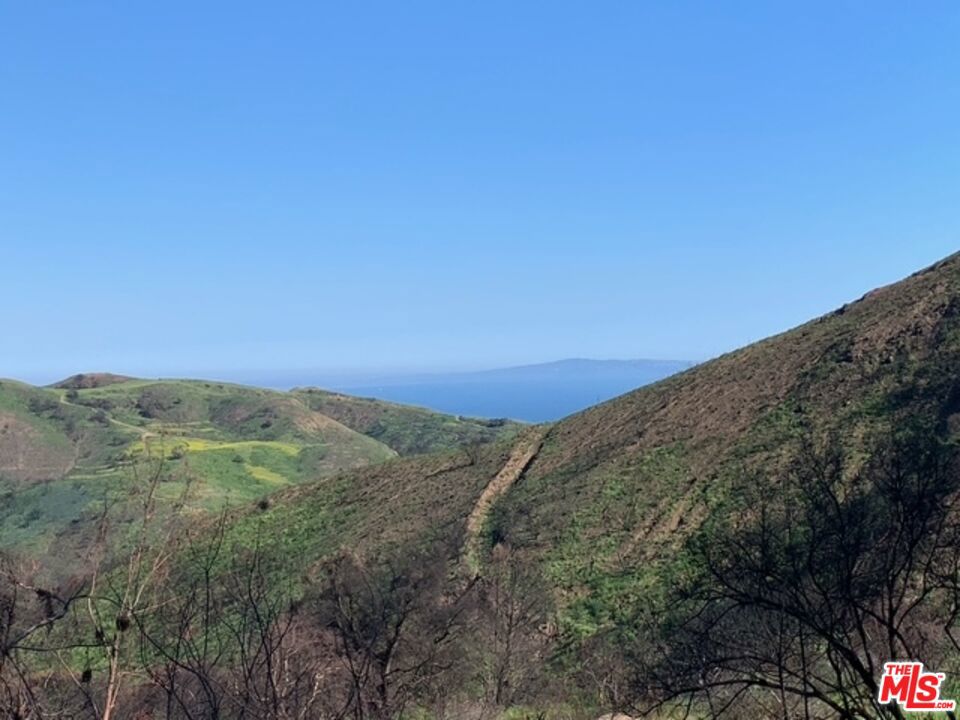 This is a burn lot and a fabulous opportunity for the right buyer. Feel the rural touch as you enjoy the Ocean and City light views. Just shy of one acre with a large flat pad. You will have re-build rights to replace the approved square footage that was there (1900 sq ft) plus 10%. There is the ability to add an ADU, but it would require an upgraded septic. Utilities stubbed out and septic system still in place. Just minutes off of Pacific Coast Hwy and approx. 30 minutes from Santa Monica. Access the property from Las Flores Rd via McCray Lane.