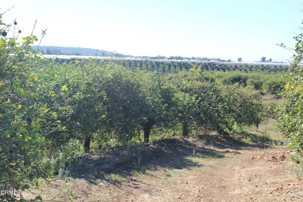 Not Applicable - Land