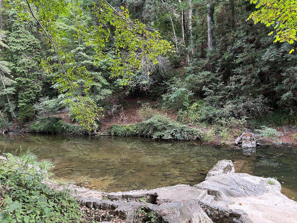 PRIVATE BEACH on the San Lorenzo River. Discover a rare gem in the heart of the Santa Cruz Mountains just one minute from Highway 9. This unique riverfront property offers private access to the San Lorenzo River, complete with a secluded beach that is also your very own fishing hole. There are stairs from the parking area down to the riverbank where serenity meets design potential. Whether you're a seasoned landscape architect or a visionary hobbyist, this site is a blank canvas for creating terraced gardens, meditation decks, or patios overlooking the water. There is off the road parking for two cars and additional space for 4 vehicles at the adjacent turnout.