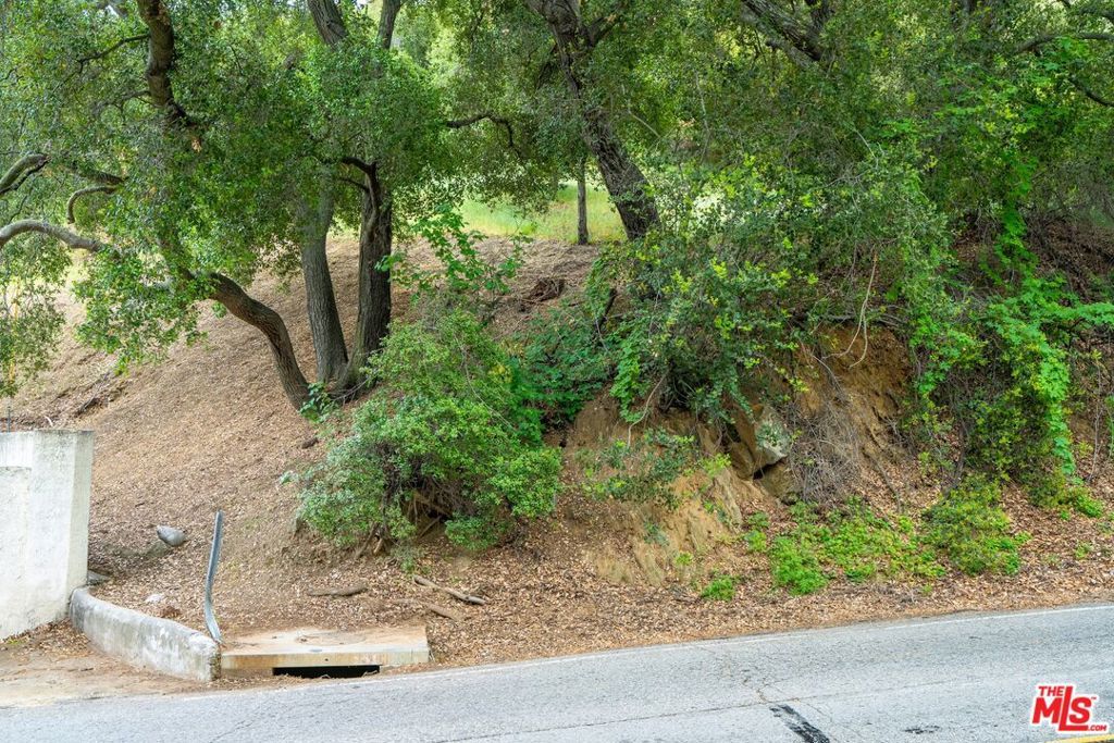 listing image 130726958008206400443
