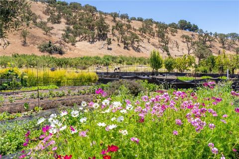 Tiny photo for 5750 El Pharo DR, Paso Robles, CA 93446 (MLS # NS26153299)