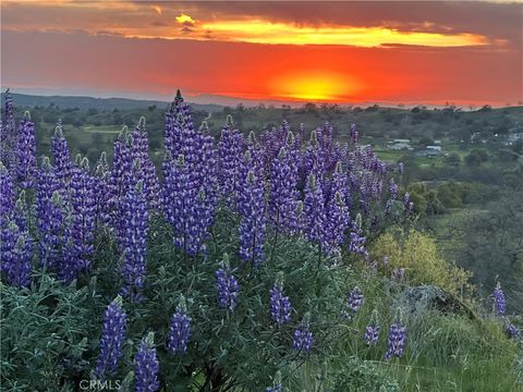 0 Spinecup Ridge Raymond CA 93653