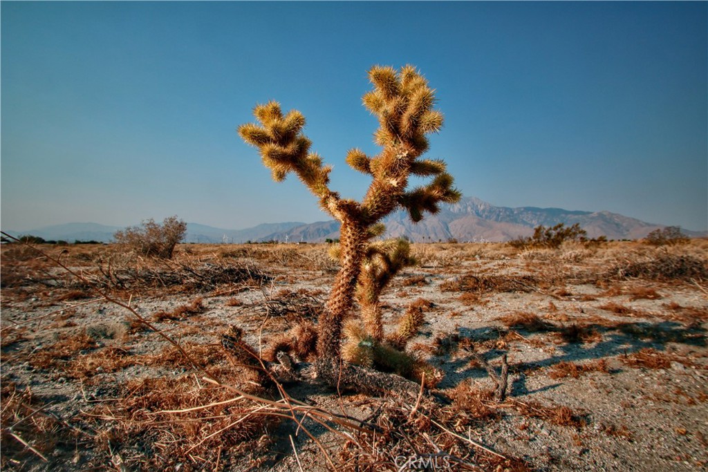 This piece of land has GORGEOUS, 360 degree panoramic view of the mountains and desert. It is a true gem. Located in an Excellent neighborhood to build your dream home. Developers and Investors dream to buy and hold or develop now. The land is flat, the whole lot is buildable, and the city development is growing toward this property. The parcel is near a developing Master Planned Community called "Skyborne", a single-family housing development, is just less than a mile away from the property. A Fire Station is nearby and a lot with a tentative tract map for "Sunset ridge" is located across the street. Also nearby is Mission Lakes Golf Course (semi-private), and Mission Lakes Retail Center. Close to the 10 Freeway and Hwy 62 Located in a close proximity to Desert Hot Springs, Palm Springs hotels and spas, airport, shopping, Joshua Tree National Park, Casino Morongo, Cabazon Outlets and restaurants.