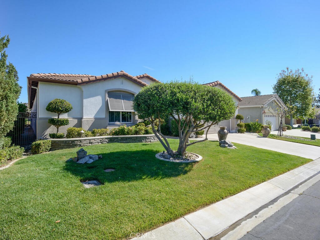 8174 Maruyama Drive