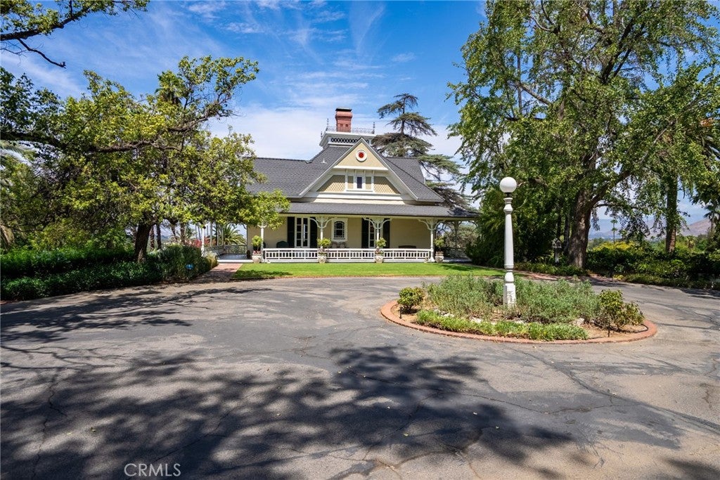2812 Ivy