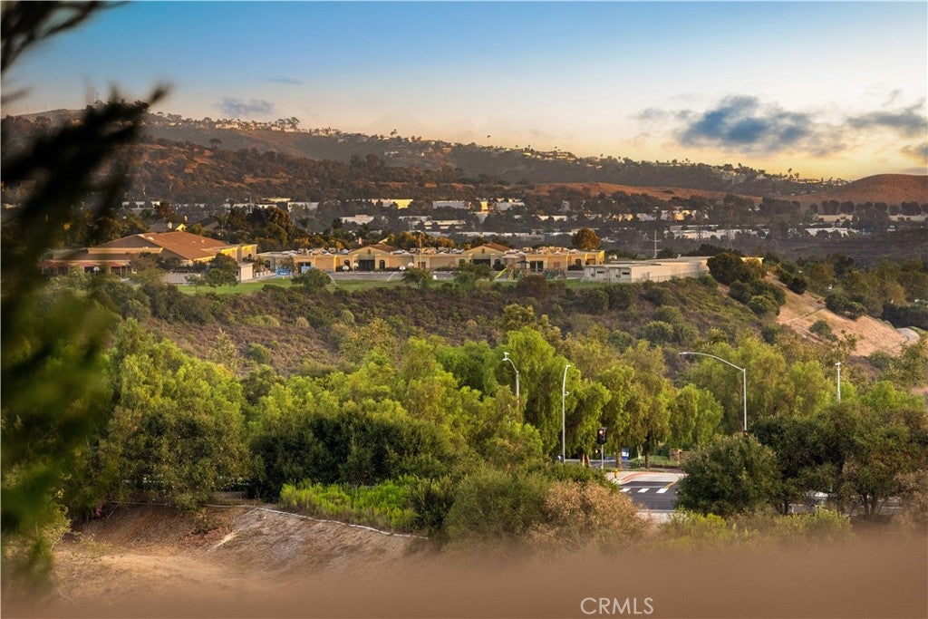 32 Corte El Brazo, San Clemente CA 92673 - Photo 59