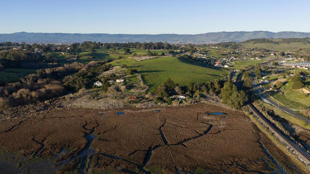967 Salinas Road
