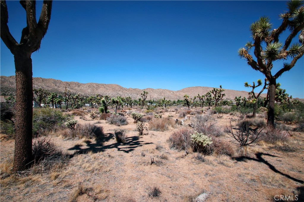 Amazing vacant lot situated in the popular “Highlands area” of beautiful Yucca Valley, California. It’s not every day that a property like this becomes available in this area, but today is the day! This 1.25-acre residential lot features a gorgeous backdrop of stunning desert landscapes and majestic mountains. As you drive up, you’ll be taken aback by this special area. Traveling to this unique desert gem, you are greeted by boulder-studded hills on Sawtooth Ridge, epic canyons in the San Bernardino Mountains, the inspiring peaks of Mount San Gorgonio, and wonderful desert vistas. It’s an open canvas for you to make your dream of owning a desert home a reality. Utilities appear to be close by with direct access to electric and neighboring homes have municipal water making development that much easier!
Minutes from the historic Old Town area of Yucca Valley, filled with antique shops, popular restaurants, and cafés, this location is also a short drive from the Black Rock Campground, which is perfect for hiking and photo opportunities. The town of Yucca Valley has been increasing in popularity for years, and now is your chance to establish a foothold in one of the most desirable areas of California! Additionally, it’s not far from Palm Springs, Big Bear, and of course, just down the street from the famous Joshua Tree National Park. This prime piece of desert real estate will not last long! Call today before this one is gone!