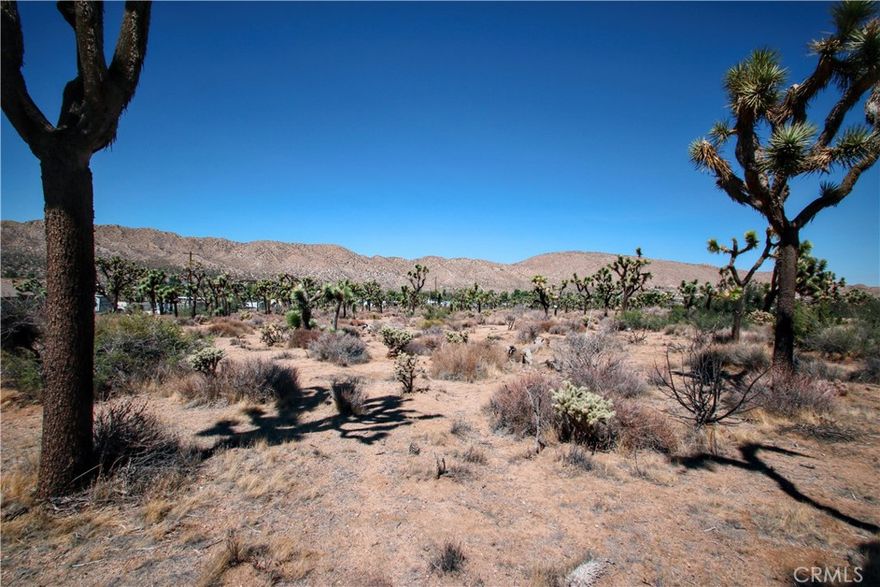 Amazing vacant lot situated in the popular “Highlands area” of beautiful Yucca Valley, California. It’s not every day that a property like this becomes available in this area, but today is the day! This 1.25-acre residential lot features a gorgeous backdrop of stunning desert landscapes and majestic mountains. As you drive up, you’ll be taken aback by this special area. Traveling to this unique desert gem, you are greeted by boulder-studded hills on Sawtooth Ridge, epic canyons in the San Bernardino Mountains, the inspiring peaks of Mount San Gorgonio, and wonderful desert vistas. It’s an open canvas for you to make your dream of owning a desert home a reality. Utilities appear to be close by with direct access to electric and neighboring homes have municipal water making development that much easier! 

Minutes from the historic Old Town area of Yucca Valley, filled with antique shops, popular restaurants, and cafés, this location is also a short drive from the Black Rock Campground, which is perfect for hiking and photo opportunities. The town of Yucca Valley has been increasing in popularity for years, and now is your chance to establish a foothold in one of the most desirable areas of California! Additionally, it’s not far from Palm Springs, Big Bear, and of course, just down the street from the famous Joshua Tree National Park. This prime piece of desert real estate will not last long! Call today before this one is gone!