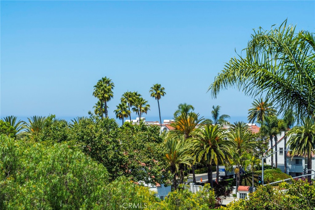 Bear Brand - JM Peters (BJP) - Residential Lease