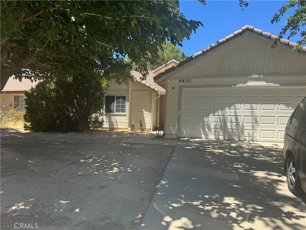 44111 Acacia