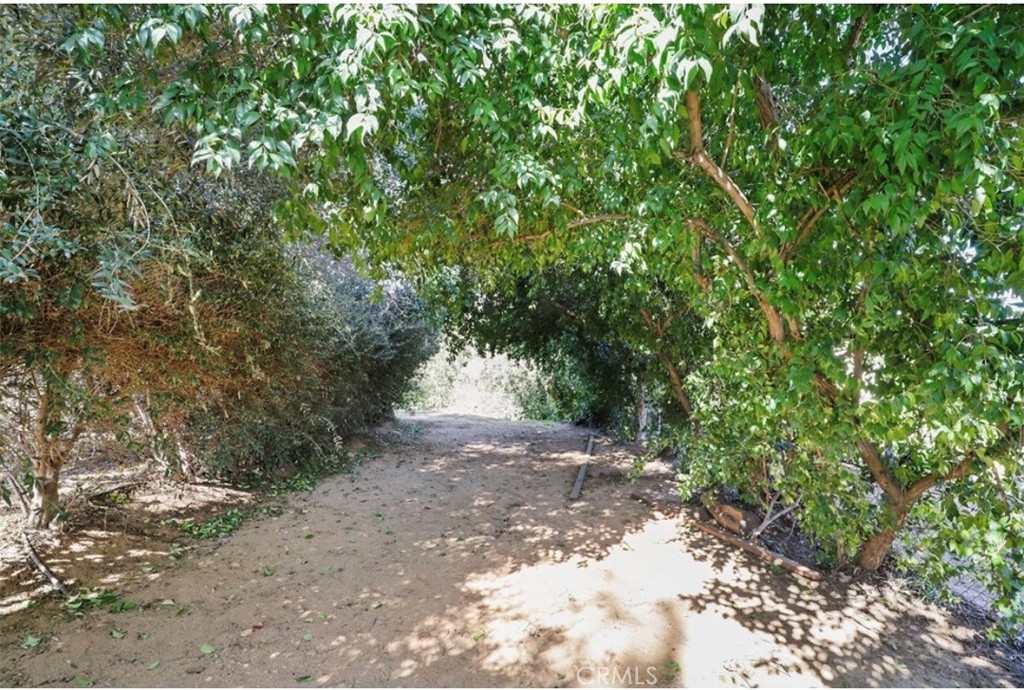 Redlands, California, 92373, United States, 6 Bedrooms Bedrooms, ,5 BathroomsBathrooms,Residential,Active,2025636