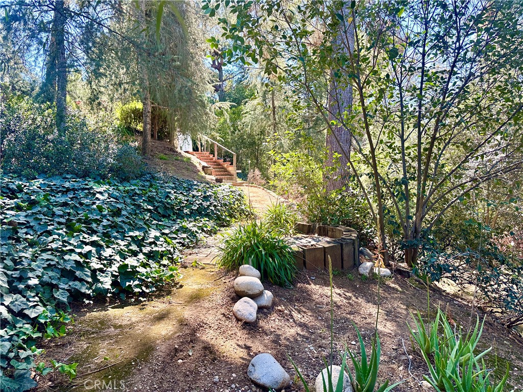 Redlands, California, 92373, United States, 6 Bedrooms Bedrooms, ,5 BathroomsBathrooms,Residential,Active,2025636