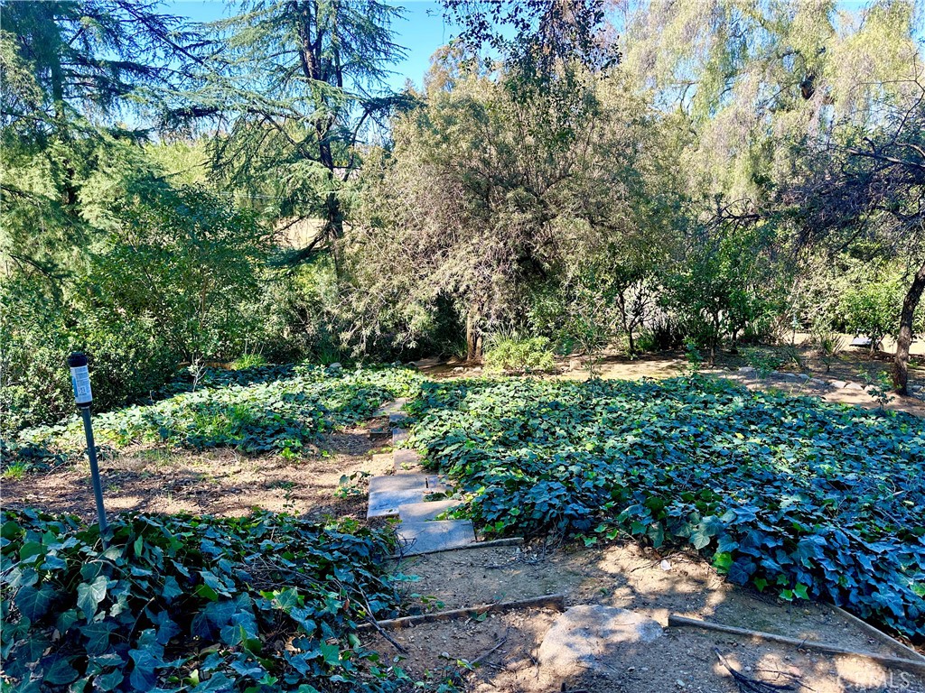 Redlands, California, 92373, United States, 6 Bedrooms Bedrooms, ,5 BathroomsBathrooms,Residential,Active,2025636
