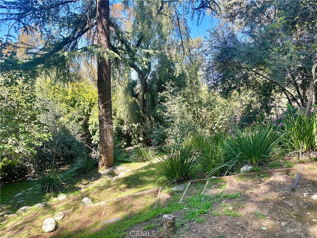 Redlands, California, 92373, United States, 6 Bedrooms Bedrooms, ,5 BathroomsBathrooms,Residential,Active,2025636