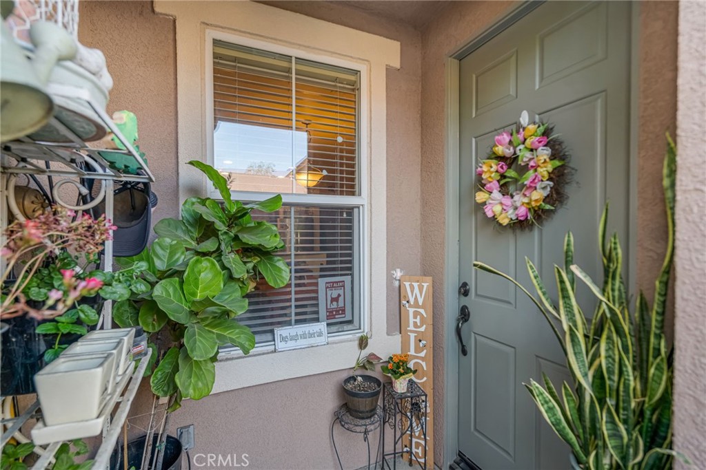 1082 Venice