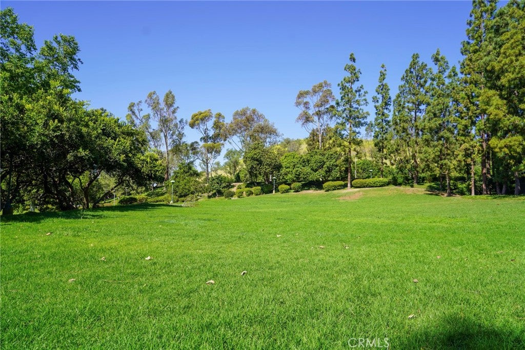 17 Rippling Stream, Irvine CA 92603 - Photo 59