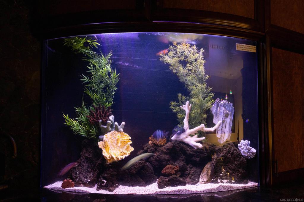 Mission Beach - Residential