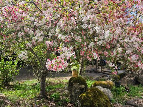 Photo of 5601 Freedom Boulevard, Aptos, CA 95003 (MLS # ML82041532)