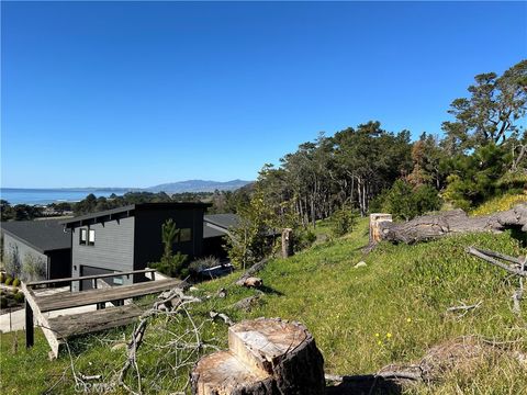 Tiny photo for 0 Chelsea Lane, Cambria, CA 93428 (MLS # SC26026125)