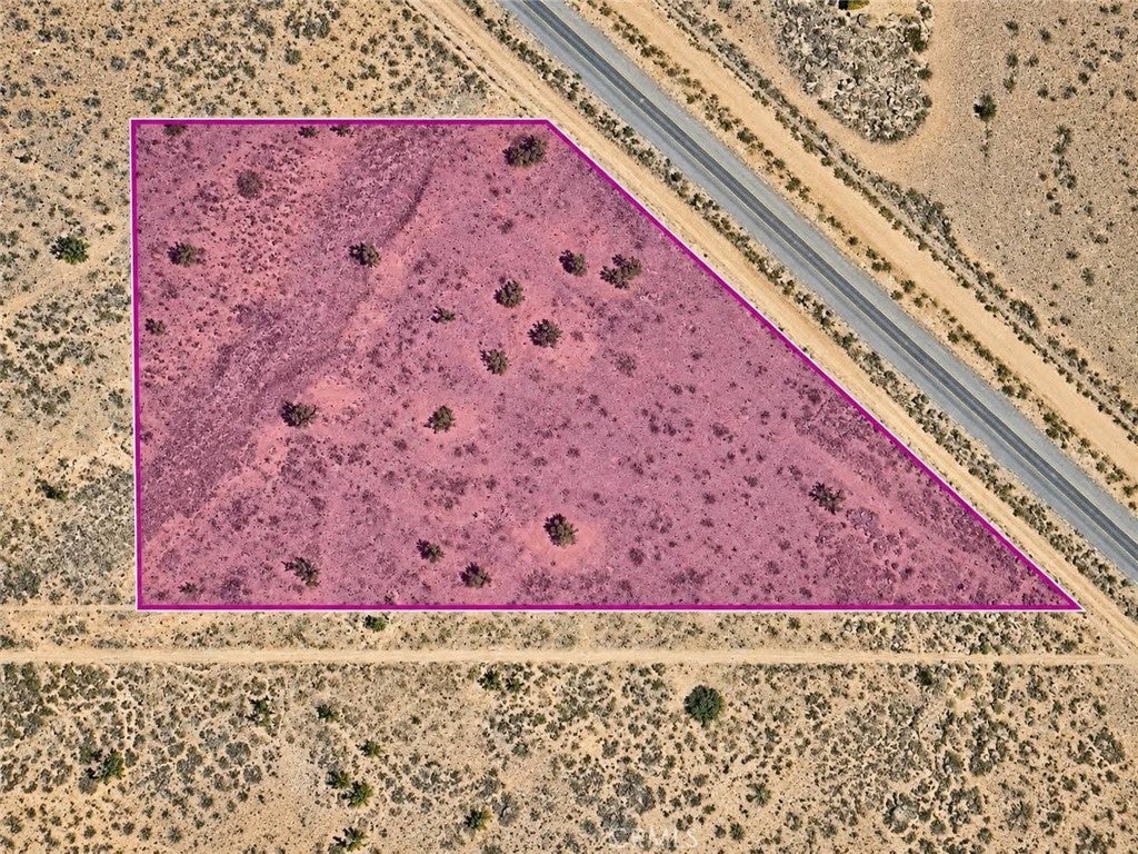 2 Acacia