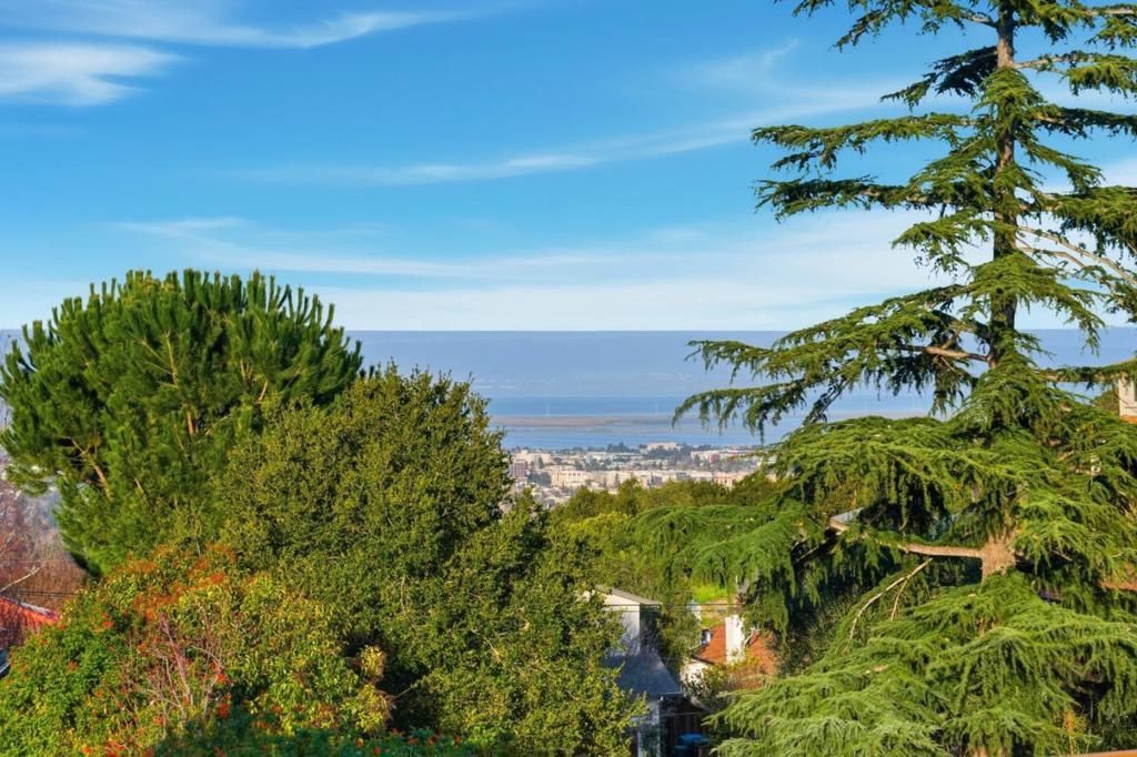 Photo of 733 Temescal Way, Redwood City, CA 94062 (MLS # ML82031872)