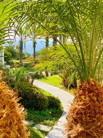 34134 Selva Road 248