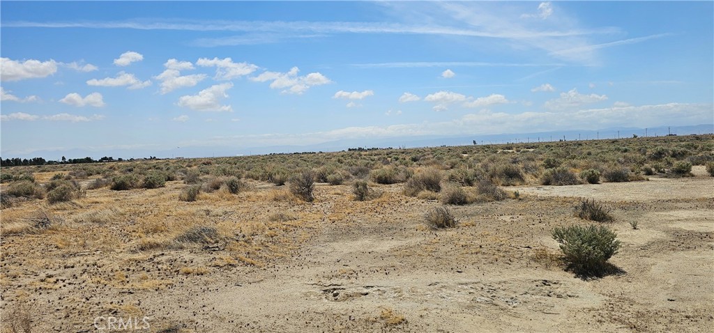 ROSAMOND 2.5 ACRES FLAT!
In the serene environs of Rosamond, California. Situated in the heart of the Antelope Valley, this rural parcel offers a quiet escape, while still providing convenient access to major hubs. With easy access to Highway 14, you're a short drive from Lancaster, Palmdale, and Mojave, ensuring you're never far from city amenities and employment centers.
The Antelope Valley is renowned for its wide-open spaces, stunning desert vistas, poppy fields and a sky that stretches infinitely. This land promises not just an investment, but a lifestyle—one that blends tranquility with the freedom to cultivate your own corner of the world.