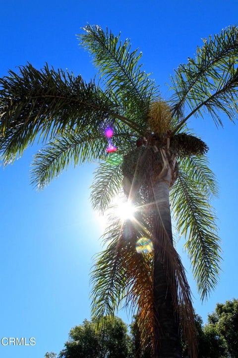 Tiny photo for 16308 Village 16, Camarillo, CA 93012 (MLS # V1-38674)