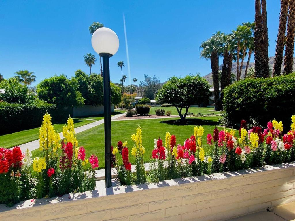 Desert Braemar - Residential