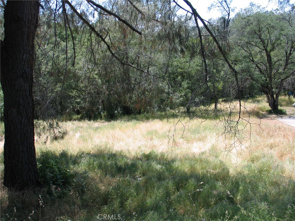 Quiet cul-de-sac and large lot waiting for your Dream Home design.