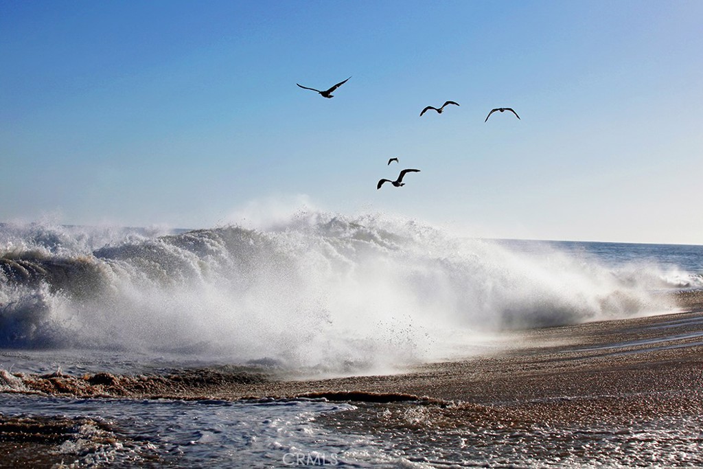 Newport Shores (NEWS) - Residential