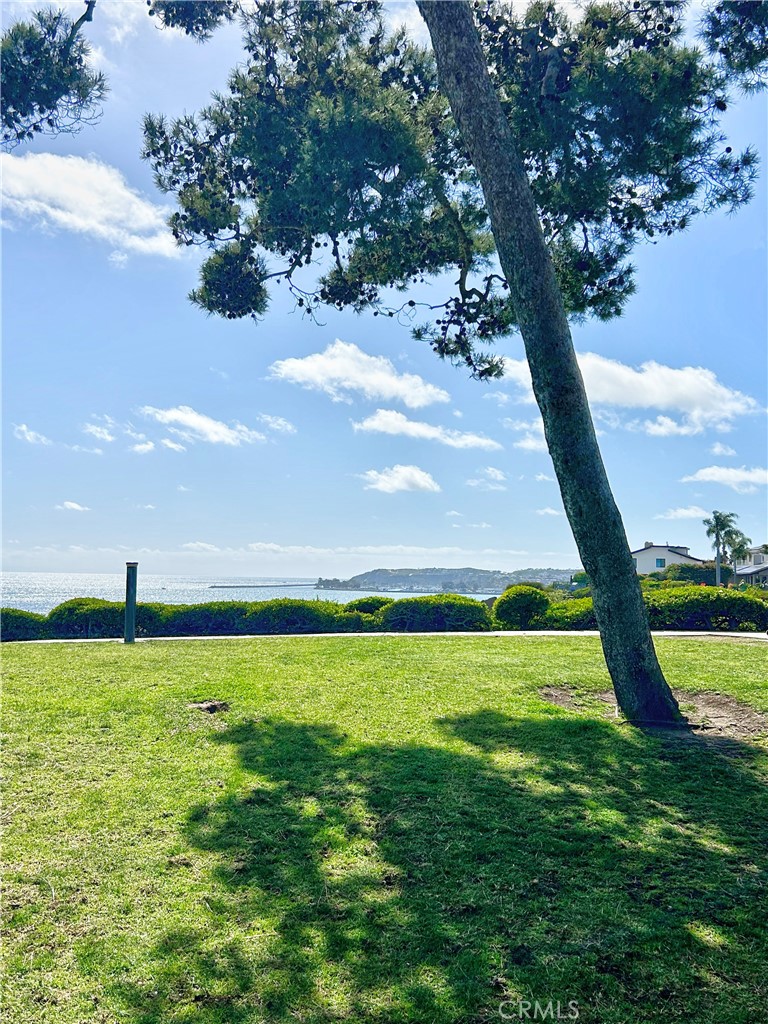 custom ADU - Residential Lease