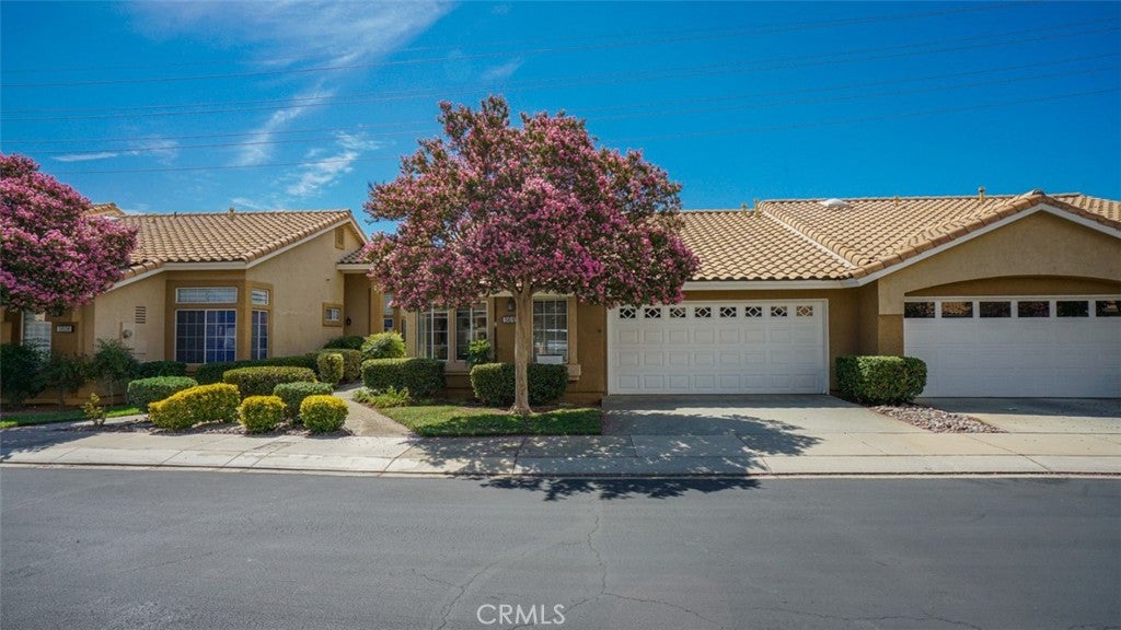 5616 Trevino