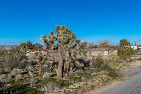 Photo of 60432 Latham Trail, Joshua Tree, CA 92252 (MLS # JT26064579)