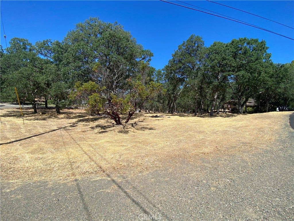 17902 Moon Hill Court