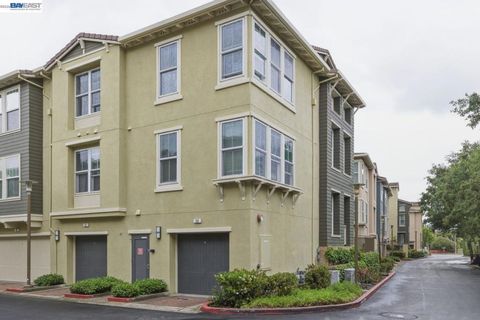 Photo of 38 Silk Oak Ter, Fremont, CA 94536 (MLS # 41132037)