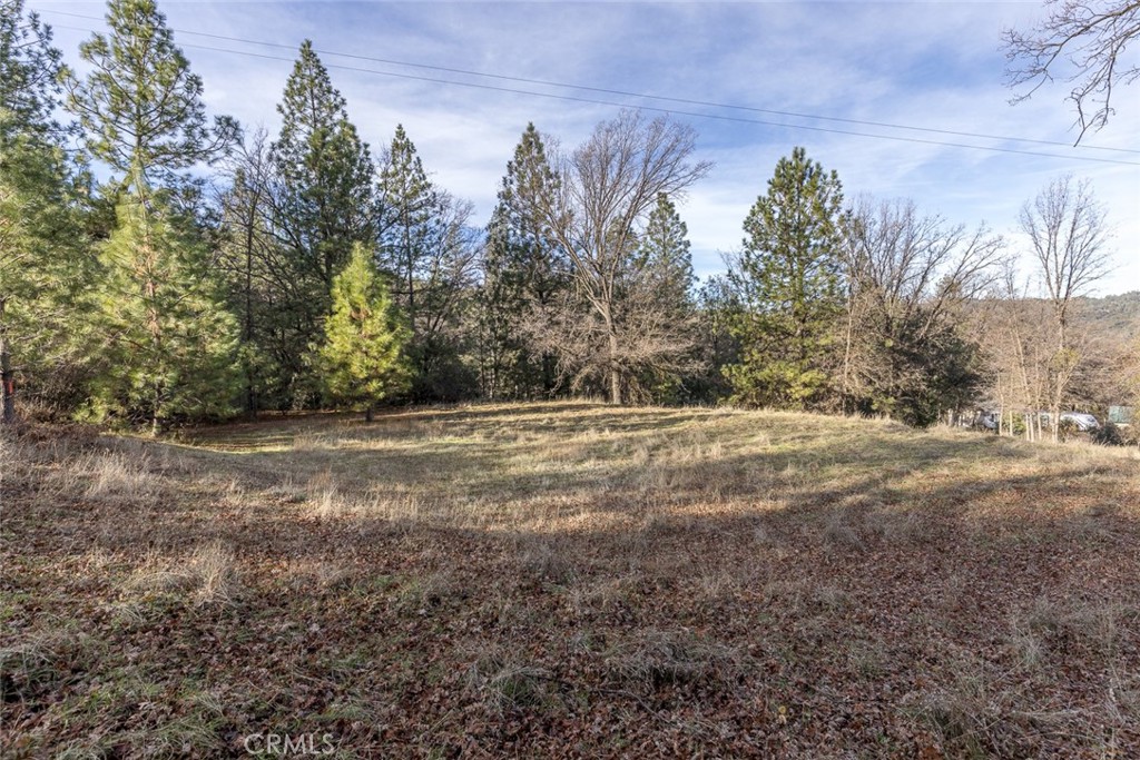 This stunning property, located just 30 minutes from Bass Lake and a short drive from the iconic Yosemite National Park, offers a perfect blend of natural beauty and tranquility. Nestled in a serene, forested setting, the land features the peaceful flow of Hogan Creek running through it, adding a soothing element to the environment. The property is abundant with mature trees, native shrubs, and wildlife.
With its proximity to Bass Lake, you'll enjoy easy access to outdoor activities like boating, fishing, and hiking, while the majesty of Yosemite is only a short drive away, perfect for exploring the park’s iconic granite cliffs, waterfalls, and ancient giant sequoias.
The property offers ample space, providing both seclusion and the opportunity for outdoor adventures, making it ideal for building a dream home.