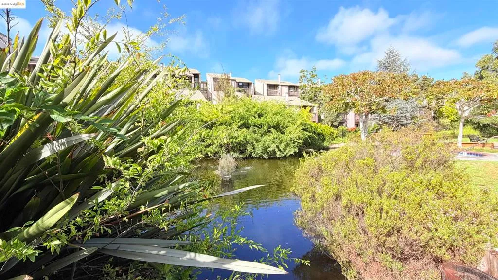 Alameda, California 94501, United States, 2 Bedrooms Bedrooms, ,2 BathroomsBathrooms,Residential,Active,242424