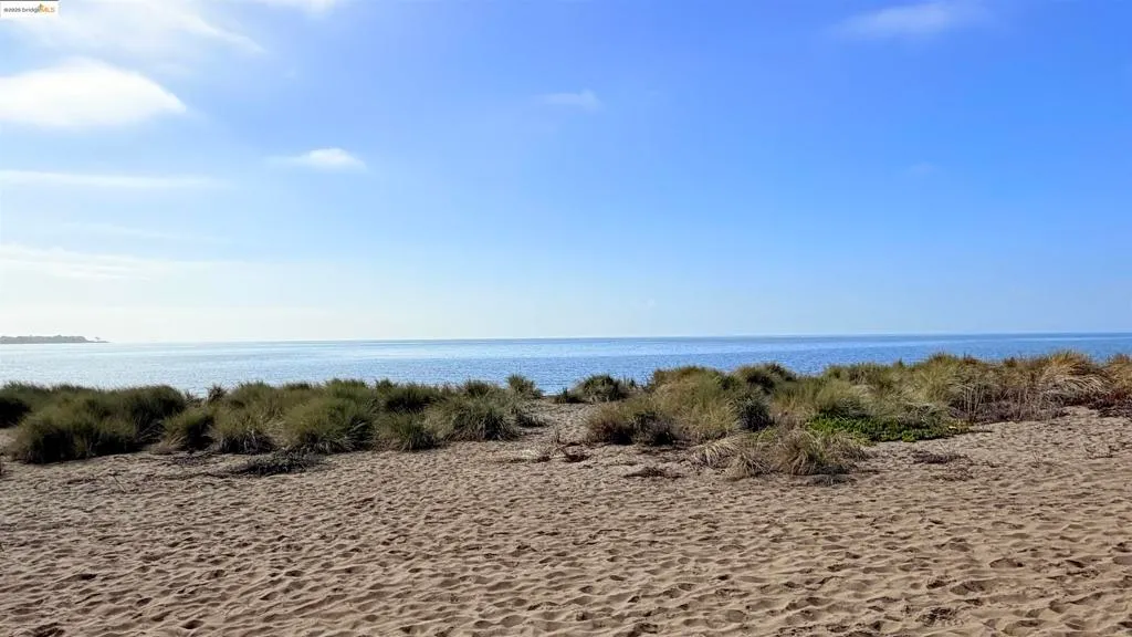 Alameda, California 94501, United States, 2 Bedrooms Bedrooms, ,2 BathroomsBathrooms,Residential,Active,242424